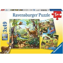 Misda Store 92659 Dağ Hayvanları Çocuk Puzzle, Çok Renkli, 3X49 Parça