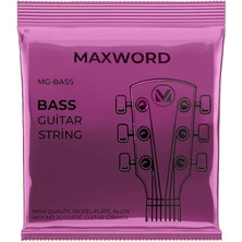 Misda Store Gt-Bass Kaliteli Bas Gitar Teli 1 Takım Set