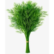 Misda Store Garden Doğal Dereotu Tohumu 1000 Ad. Tohum