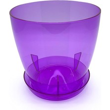 Leaf Shop Orkide Saksı Tabağı Seffaf-Mor 3lt