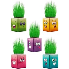 Leaf Shop Adam Çimoji 32'li Renkli Küp Şeklinde Çimadam Çimoji