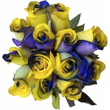 Misda Store Dünyam 10 Adet Sarı Lacivert Gül Tohumu