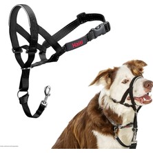 Storemax Defyasell Şirket Hayvanlarının Halti Köpek Halter, Boyut 2 (35-48 Cm), Siyah
