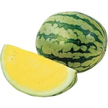 Misda Store Paket 30 Adet Tohum Ithal Nadir Sarı Karpuz Tohumu