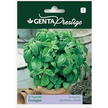 Misda Store Prestige Iri Yapraklı Fesleğen Tohumu Sebze Tohumu