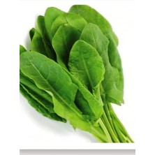 Misda Store Tarım Ata Tohumu Yerli Kuzukulağı Gürsel 1000 Adet Tohum