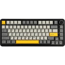 Misda Store AK820 Max He Hall Effect Manyetik Switch Kablolu Oyun Klavyesi 8000Hz Siyah Beyaz