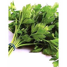 Misda Store Tarım Ata Tohumu Yerli Maydanoz 2500 Tohum