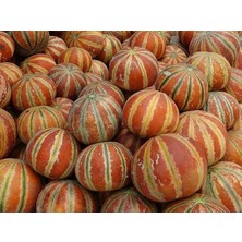 Misda Store Adet Kajari Kavun Tohumu