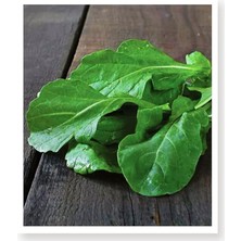 Misda Store Tarım Ata Tohumu Yerli Roka Nuran 2000 Adet Tohum