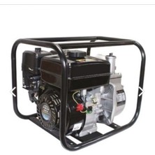 Palmera Pa 250 T Su Motoru Benzinli 5.5hp 2''inç