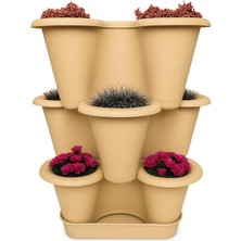 Misda Store Katlı Şanslı Yonca Tasarımlı Dekoratif Saksı Seti, 26.5 x 26.5 Cm, Çiçek ve Bitki Sebze Yetiştirme, Bahçe Salon Mutfak Saksı Seti (Bronz)