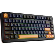 Ronanna Rampage Quell Siyah Hot Swap 2.4g + Bt Wireless Rgb Gasket Oil Switch Türkçe Q Pbt Mekanik Klavye