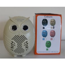 Ronanna Everton RT-354 Usb-Tf Card- Ses Bombası