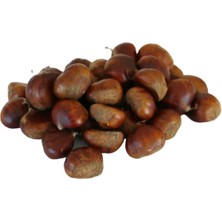 Güneşin Meyveleri Şekerci Kestane Orta Boy 500 Gr.