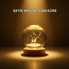 Ronanna USB Bağlantılı Geyik Temalı Kristal Küre Premium Masa Gece Lambası
