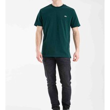 Lacoste Bisiklet Yaka Regular Fit Nefti