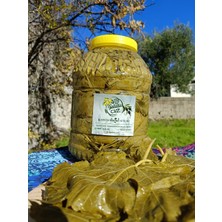 Asma Yaprağı Salamura 3 kg