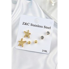 Jade'm Gold Jadem Gold 316L Çelik Zirkon Taşlı Deniz Yıldızı Model Gümüş Renk Kadın Set Küpe