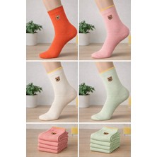 Zenvi Unisex 4lü Ayıcık Nakışlı Çorap Seti Kırmızı Bej Yeşil Pembe
