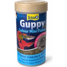 Kotenart Tetra Guppy Colour Mini Flakes 100 ml – Lepistesler Için Renk Artırıcı Pul Balık Yemi
