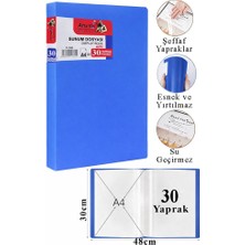 Artlantis Sunum Dosyası 30 Lu 1 Paket Poşet Dosyalı Katalog Dosyası 30 Poşetli Kendinden Dosya Plastik Kapaklı