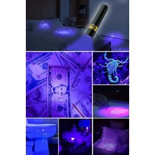 Plentiful Oje Kurutucu Para Kontol  Mini Cep Boy USB Ile Şarj Olan LED Uv Mor Işık El Feneri