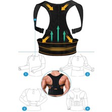 Allians Manyetik Dik Duruş Korse, Ortopedik Bel ve Sırt Destekli, Erkek ve Bayan