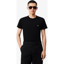  collection lacoste pamuklu pima tişört