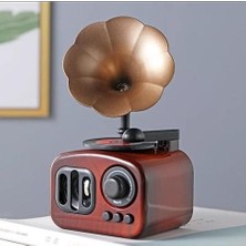 Skygo Nostajik Gramofon Müzik Kutusu N-24