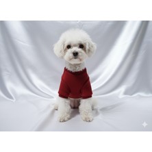 Patipin Kırmızı Cool Baskılı Köpek Sweatshirt - Tasma Delikli %100 Pamuklu Köpek Kıyafeti