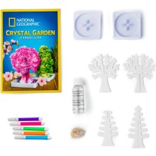 Aesco Çocuk Natgeo Kristal Bitki Kiti