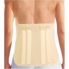 Allians Sağlam Çelik Bel Korsesi, Dik ve Şekillendirici Destek