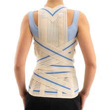 Allians Dorselomber Çelik Balenli Tenürün, Şık ve Konforlu Tasarım