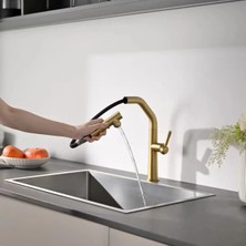 OEM Mutfak Evye Bataryası Su Arıtma Çıkışlı 2 Fonksiyon Fiskiye Spiralli Mat Gold Renk 7 Yıl Garantili Ithal