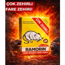 Ramorin Fare Kovucu Fare Yemi Fare  Ilaci Fare Kovucu Fare Kovucu