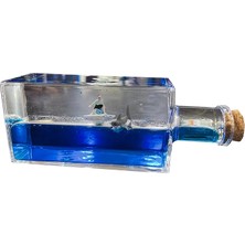 DS LLC Ieg ™ Sörfçü Figürlü Şişe Içinde Batmayan Gemi DSLLCRS-IEGK34