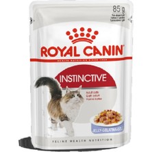 Royal Canin Fhn Instınctıve Jelly 85GR 12 Adet
