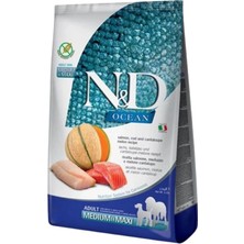 N&D Elite N & D Ocean Tahılsız Somon Morina Balığı Kavun Büyük ve Orta Irk Yetişkin Köpek Maması 2,5kg