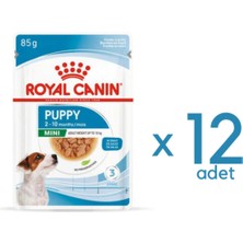 Royal Canin Mini Puppy Yaş Mama Pouch 85GR * 12 Adet