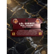 Meneva Aksesuar Lâl (Garnet) Taşı - Oğlak Burcu Doğal Taş Bileklik