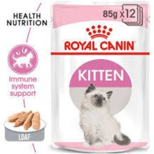 Royal Canin Royal Canın Mini Puppy Köpek Pounch Yaş Mama 12X85GR