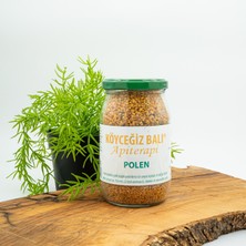 Köyceğiz Balı Arı Poleni 200 gr Cam Kavanoz Doğal Enerji Kaynağı Zengin Amino Asitler İçerir