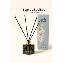 Marrien Sandalwood Çubuklu Oda Kokusu 100 ml- Kalıcı ve Dekoratif Odunsu & Baharatlı Notalar