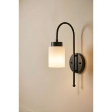 Ronisu Aydınlatma Noxelle Cam Başlıklı Metal Modern Duvar Duvar Aplik