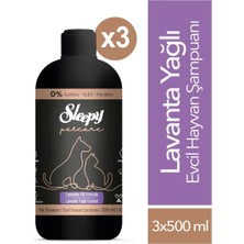 Sleepy Petcare Lavanta Yağlı Evcil Hayvan Şampuanı 3x500 ml Beyaz Renkli Hassas Cilt Uyumlu