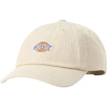 Dickies Hardwick Corduroy Cap Stone