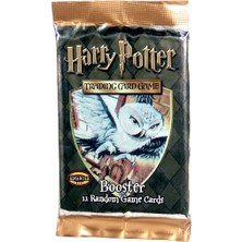 Aesco Harry Potter Trading Oyun Kartı