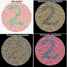Allians Renk Körlüğü Anlayış Kitabı, Görsel Farklılıklar Için Bilgi Kaynağı