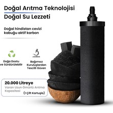 PHOENIX GRAVITY Akıllı Aktif Karbon Filtre Kartuşu